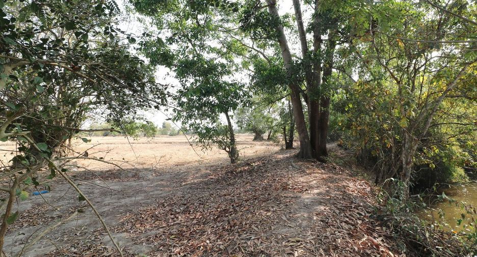ขาย ที่ดิน ใน เพ็ญ, อุดรธานี
