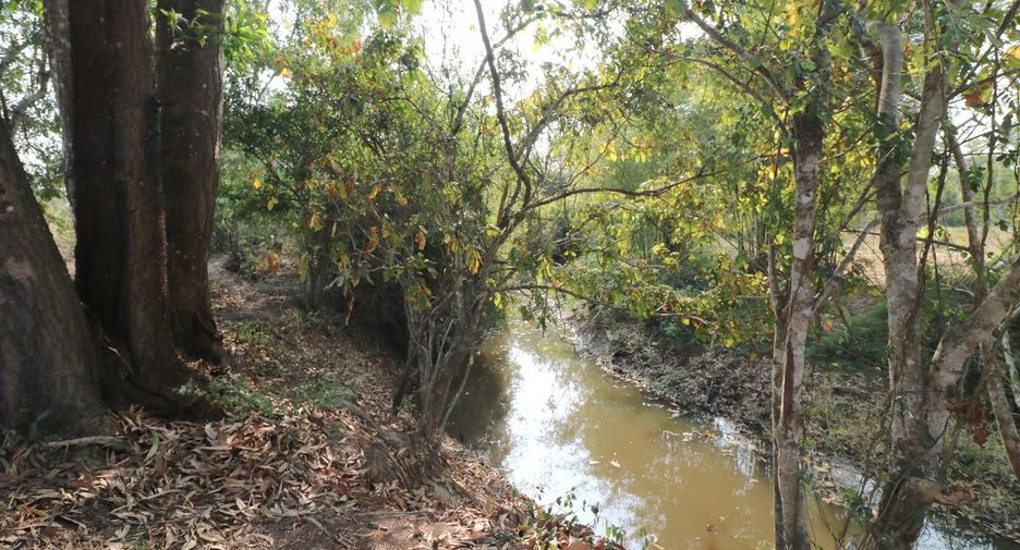 ขาย ที่ดิน ใน เพ็ญ, อุดรธานี