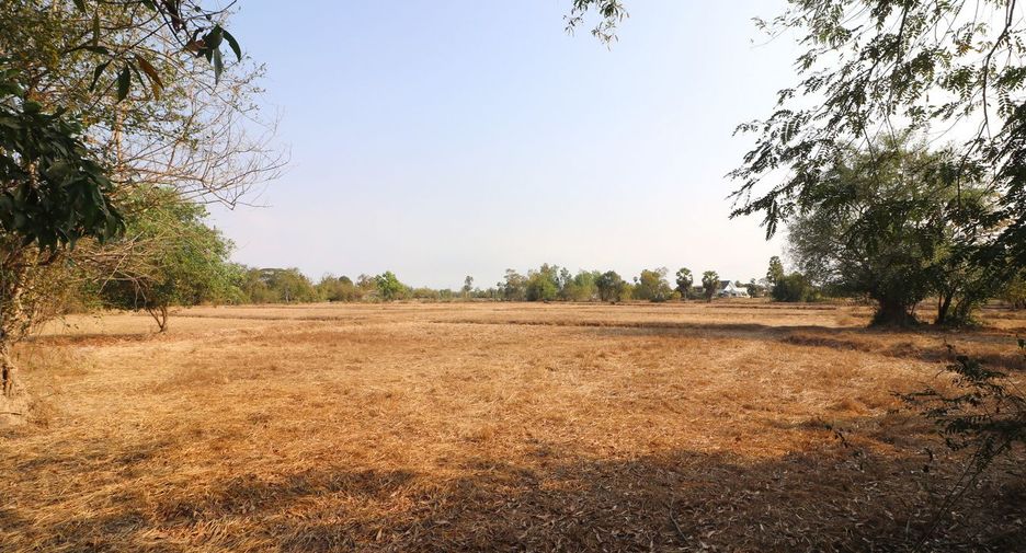 ขาย ที่ดิน ใน เพ็ญ, อุดรธานี