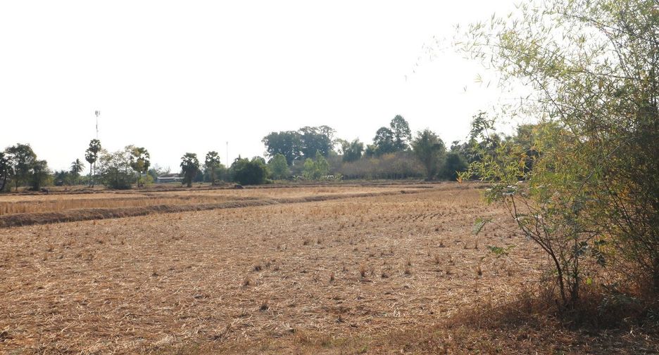 ขาย ที่ดิน ใน เพ็ญ, อุดรธานี