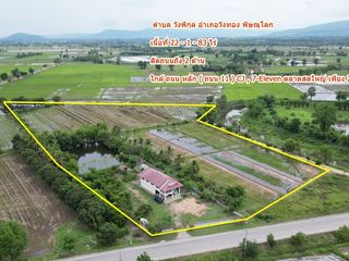 For sale land in Wang Thong, Phitsanulok