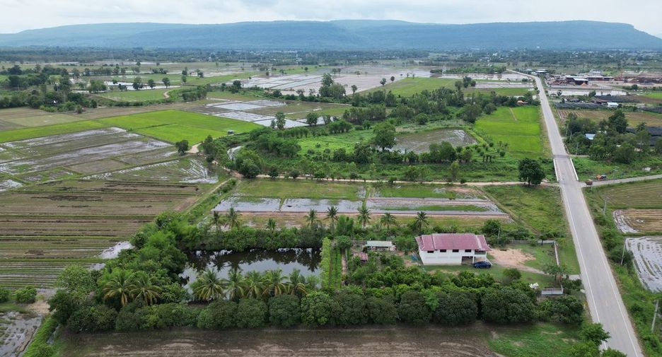 For sale land in Wang Thong, Phitsanulok