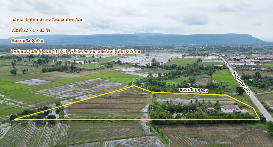 For sale land in Wang Thong, Phitsanulok