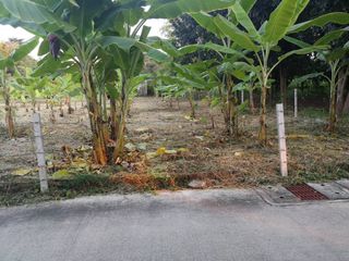 ขาย ที่ดิน ใน บางกะปิ, กรุงเทพฯ
