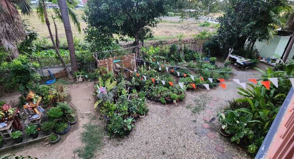 出售 4 卧室 商业空间 在 Saraphi, Chiang Mai