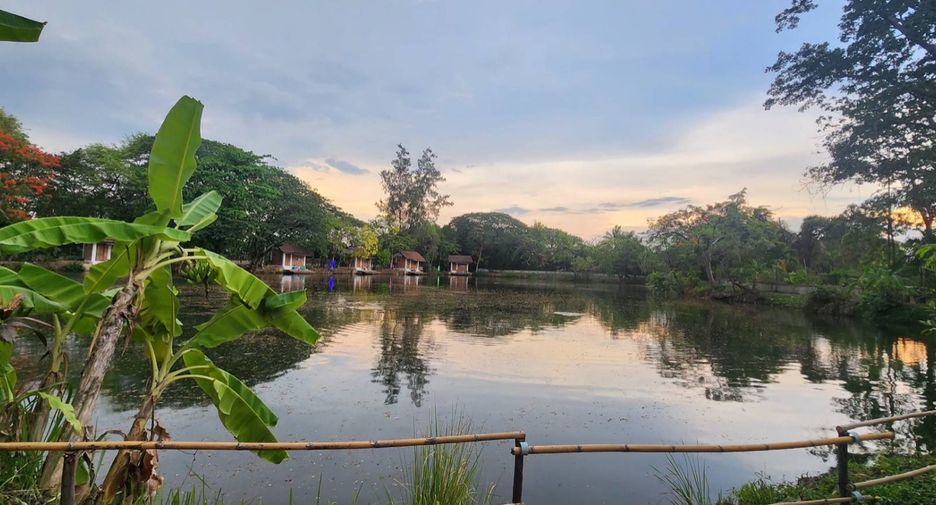 出售 4 卧室 商业空间 在 Saraphi, Chiang Mai