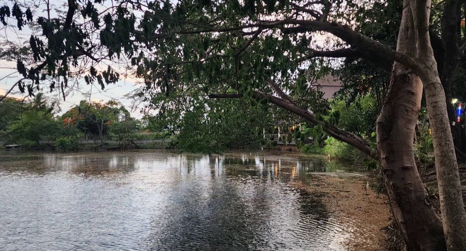 出售 4 卧室 商业空间 在 Saraphi, Chiang Mai