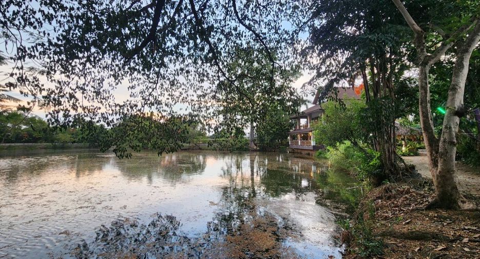 出售 4 卧室 商业空间 在 Saraphi, Chiang Mai