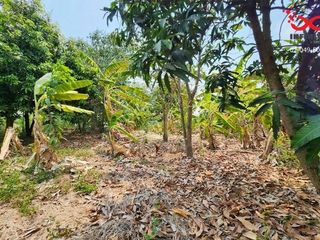 For sale land in Bang Bua Thong, Nonthaburi