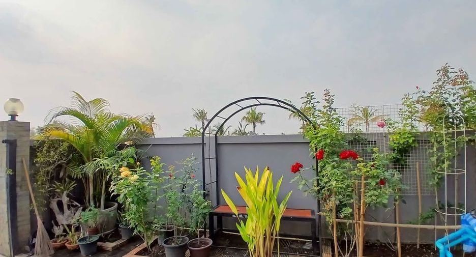 For sale 2 bedrooms house in Ban Thi, Lamphun