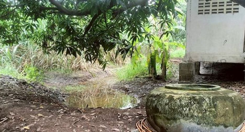 ขาย ที่ดิน ใน บางเลน, นครปฐม