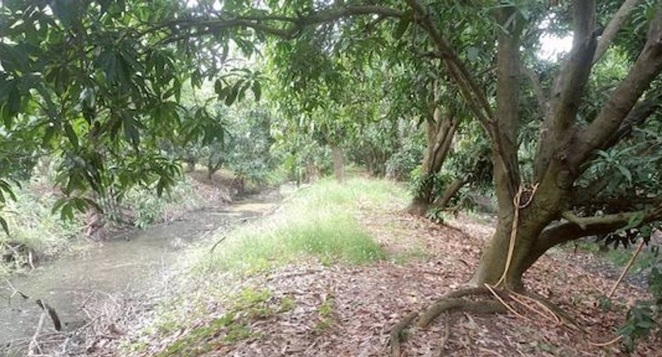 ขาย ที่ดิน ใน บางเลน, นครปฐม