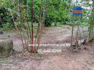 For sale land in Maha Chana Chai, Yasothon