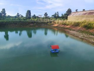 For sale land in Na Yai Am, Chanthaburi
