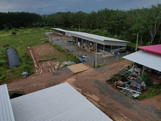 For sale land in Na Yai Am, Chanthaburi