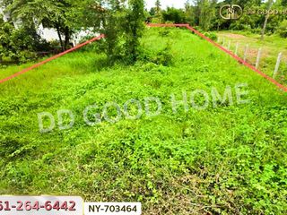 For sale land in Phrom Phiram, Phitsanulok