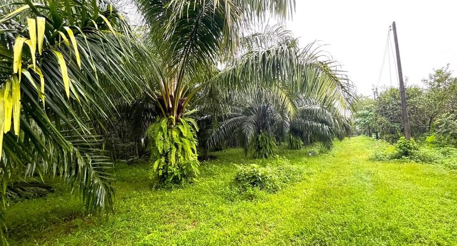 出售 土地 在 Takua Pa, Phangnga