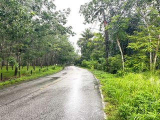 出售 土地 在 Takua Pa, Phangnga