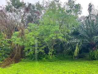出售 土地 在 Takua Pa, Phangnga