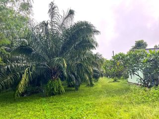 出售 土地 在 Takua Pa, Phangnga