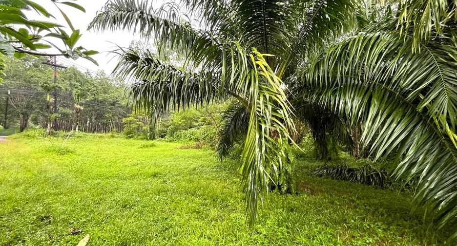 出售 土地 在 Takua Pa, Phangnga