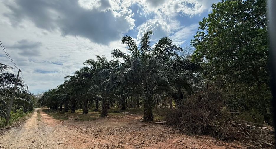 出售 土地 在 Takua Pa, Phangnga