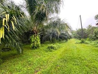 出售 土地 在 Takua Pa, Phangnga