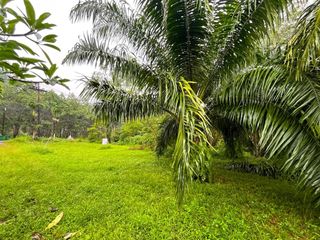 出售 土地 在 Takua Pa, Phangnga