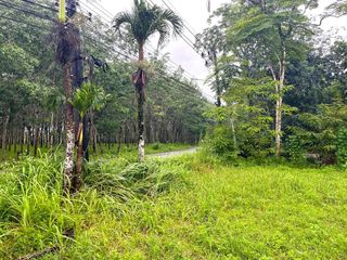 出售 土地 在 Takua Pa, Phangnga