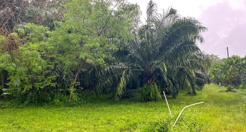 出售 土地 在 Takua Pa, Phangnga