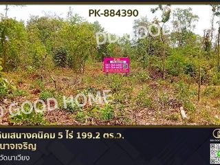 For sale land in Senangkhanikhom, Amnat Charoen