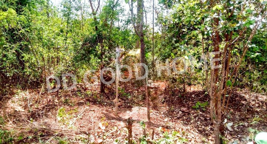 For sale land in Senangkhanikhom, Amnat Charoen