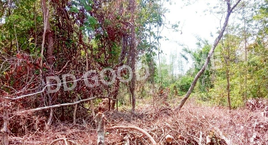 For sale land in Senangkhanikhom, Amnat Charoen