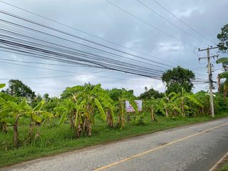 For sale land in Mueang Phitsanulok, Phitsanulok
