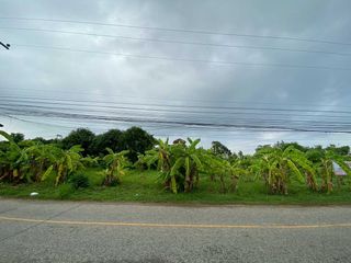 For sale land in Mueang Phitsanulok, Phitsanulok