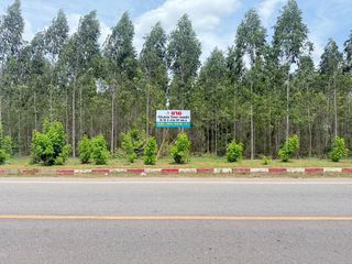 For sale land in Mueang Ratchaburi, Ratchaburi