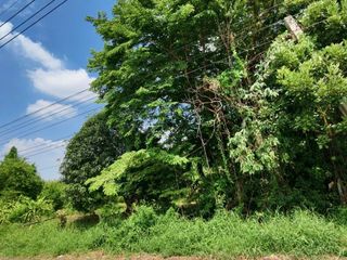 ขาย ที่ดิน ใน บางบัวทอง, นนทบุรี