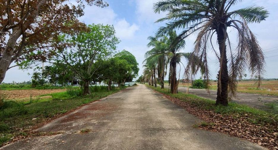 ขาย ที่ดิน ใน เมืองเพชรบุรี, เพชรบุรี