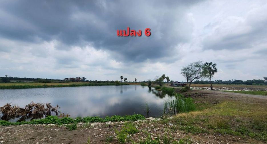 ขาย ที่ดิน ใน เมืองเพชรบุรี, เพชรบุรี