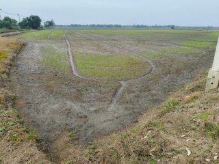 For sale land in Bang Sai, Phra Nakhon Si Ayutthaya