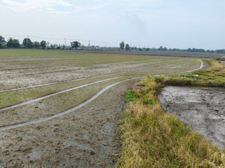 For sale land in Bang Sai, Phra Nakhon Si Ayutthaya