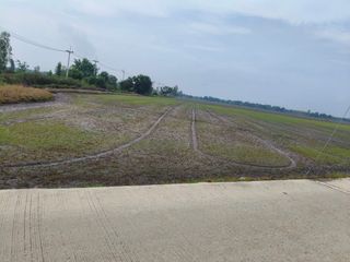 For sale land in Bang Sai, Phra Nakhon Si Ayutthaya