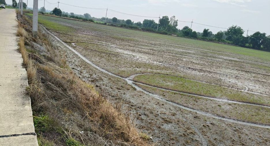 For sale land in Bang Sai, Phra Nakhon Si Ayutthaya