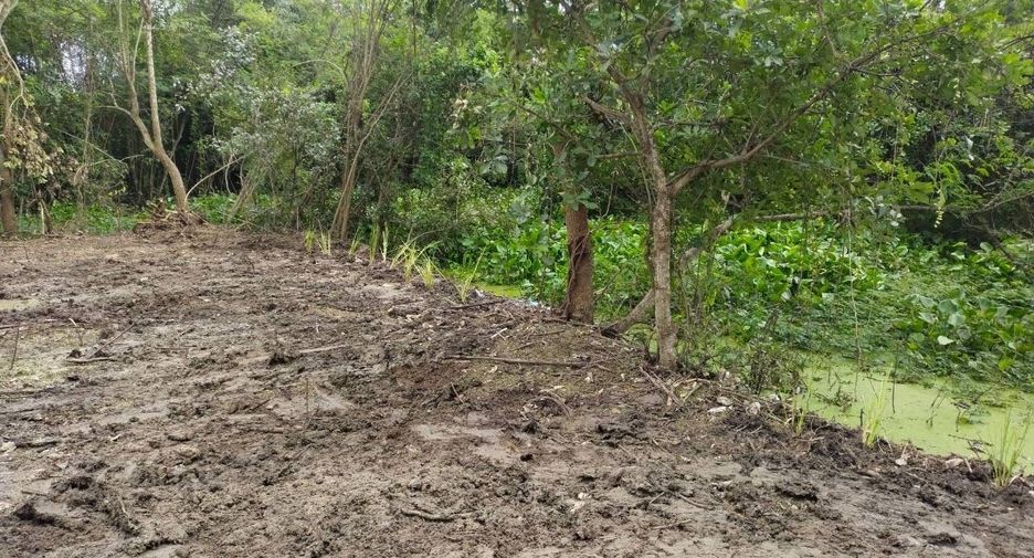 For sale land in Doi Saket, Chiang Mai
