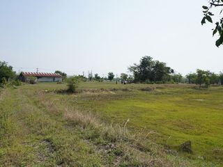 For sale land in Yang Talat, Kalasin
