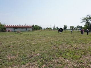 For sale land in Yang Talat, Kalasin