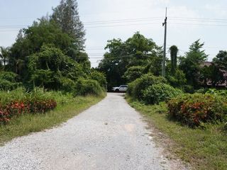 For sale land in Yang Talat, Kalasin