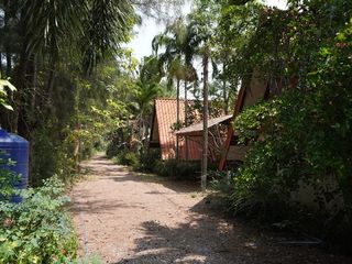 For sale land in Yang Talat, Kalasin