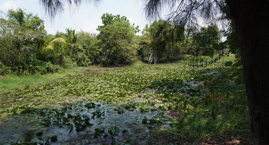 For sale land in Yang Talat, Kalasin