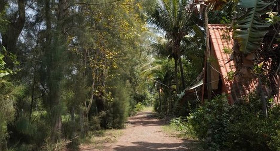 For sale land in Yang Talat, Kalasin